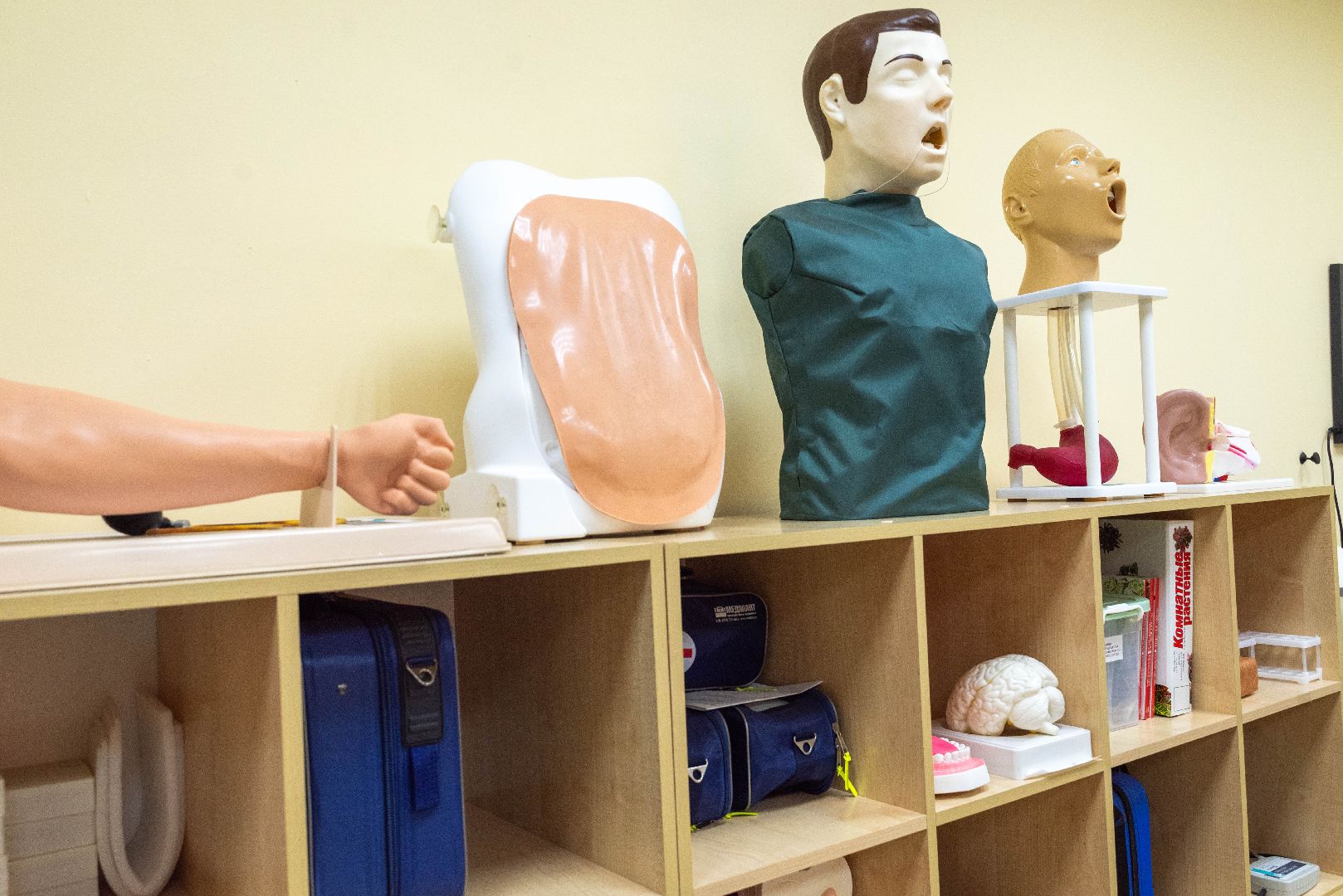 Реутов, образование, школа6, музей, выпускники, учителя, ремонт,