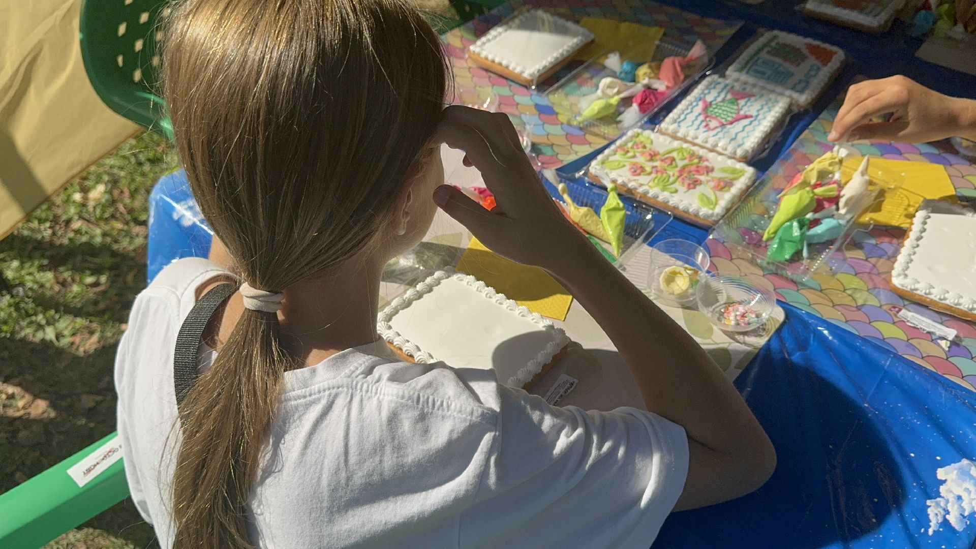 Солнечногорск, День округа, Роспись пряников, Жители, Праздник,