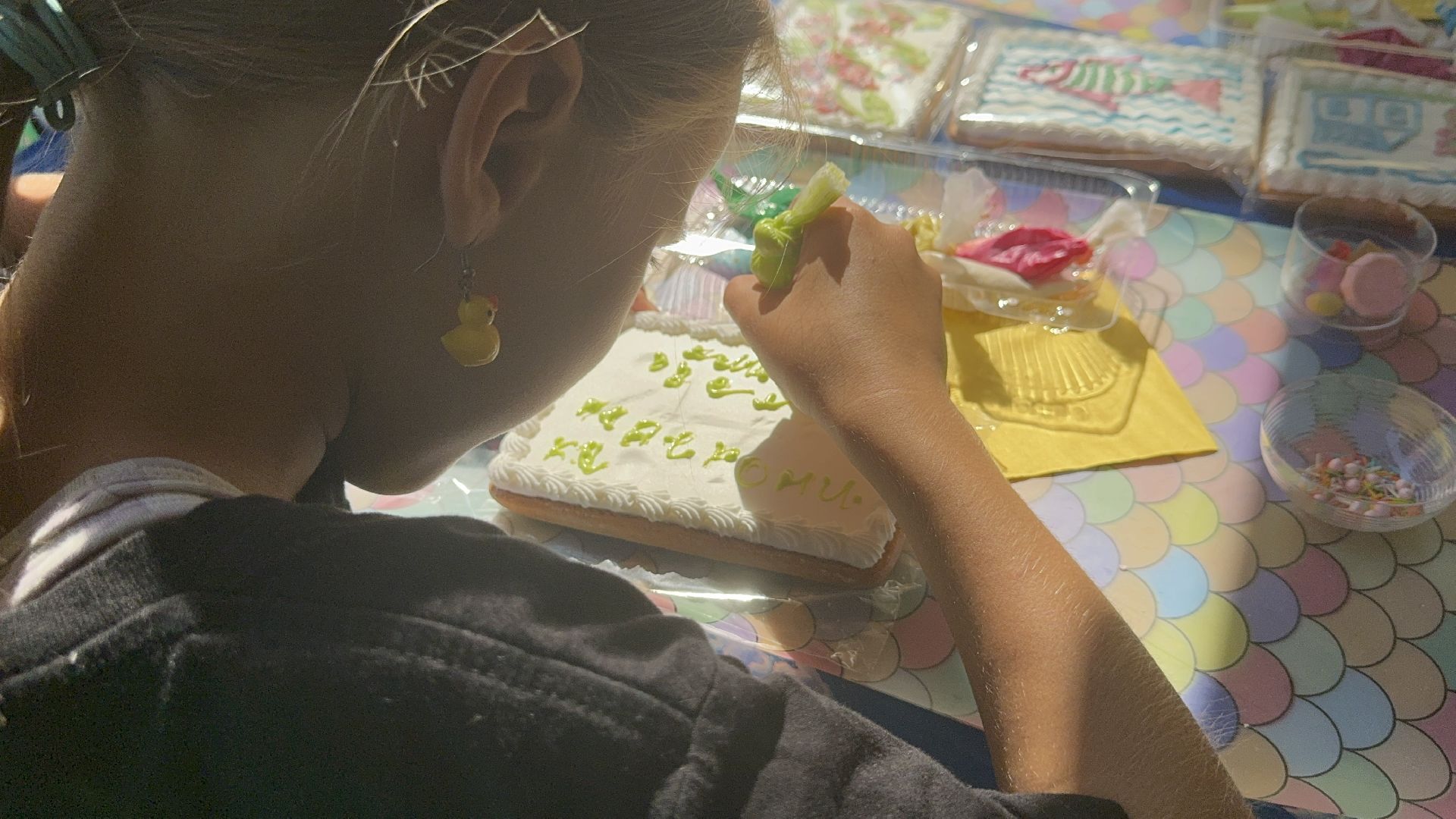 Солнечногорск, День округа, Роспись пряников, Жители, Праздник,