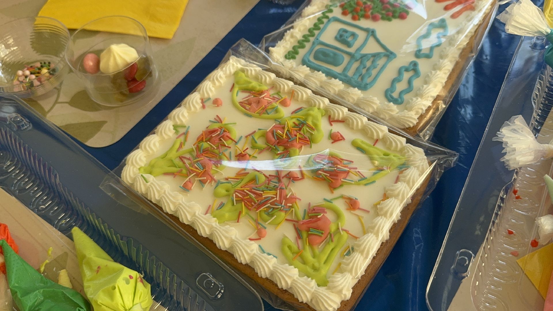 Солнечногорск, День округа, Роспись пряников, Жители, Праздник,