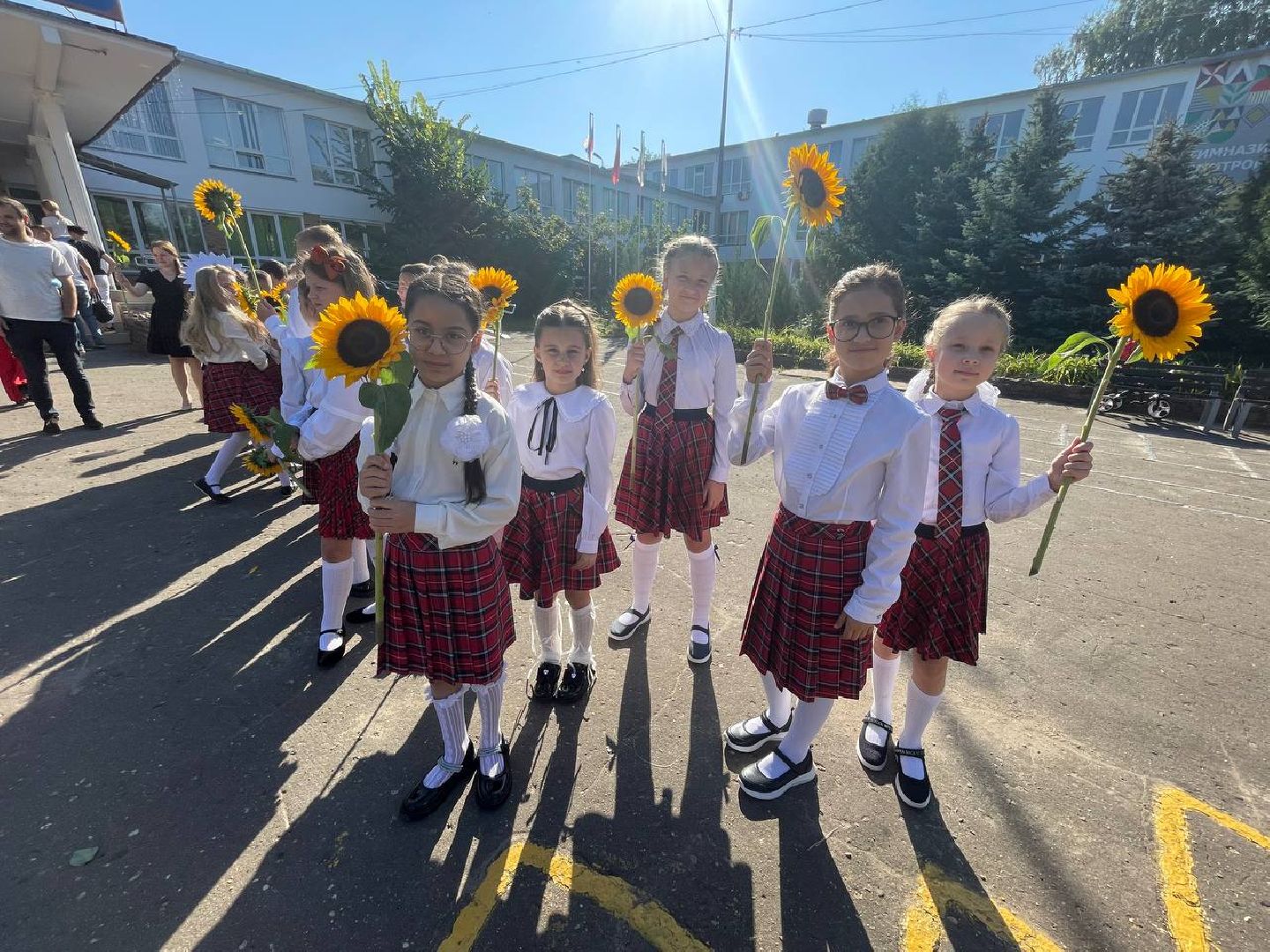 Дмитров, Гимназия Дмитров, Минобр,