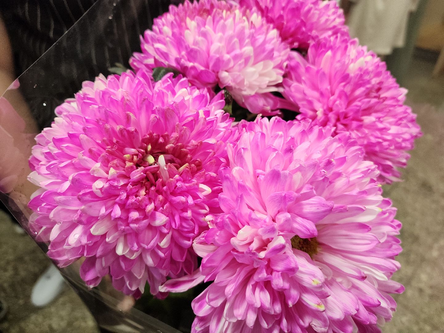 красногорск, 1 сентября 2024, гибдд,