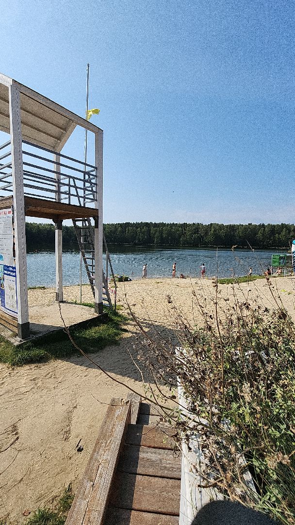 парк авангард, парки подмосковья, 1 сентября, 1 сентября 2024, праздник, первый день осени, лето в подмосковье, электросталь, мой город, жители города, культура,