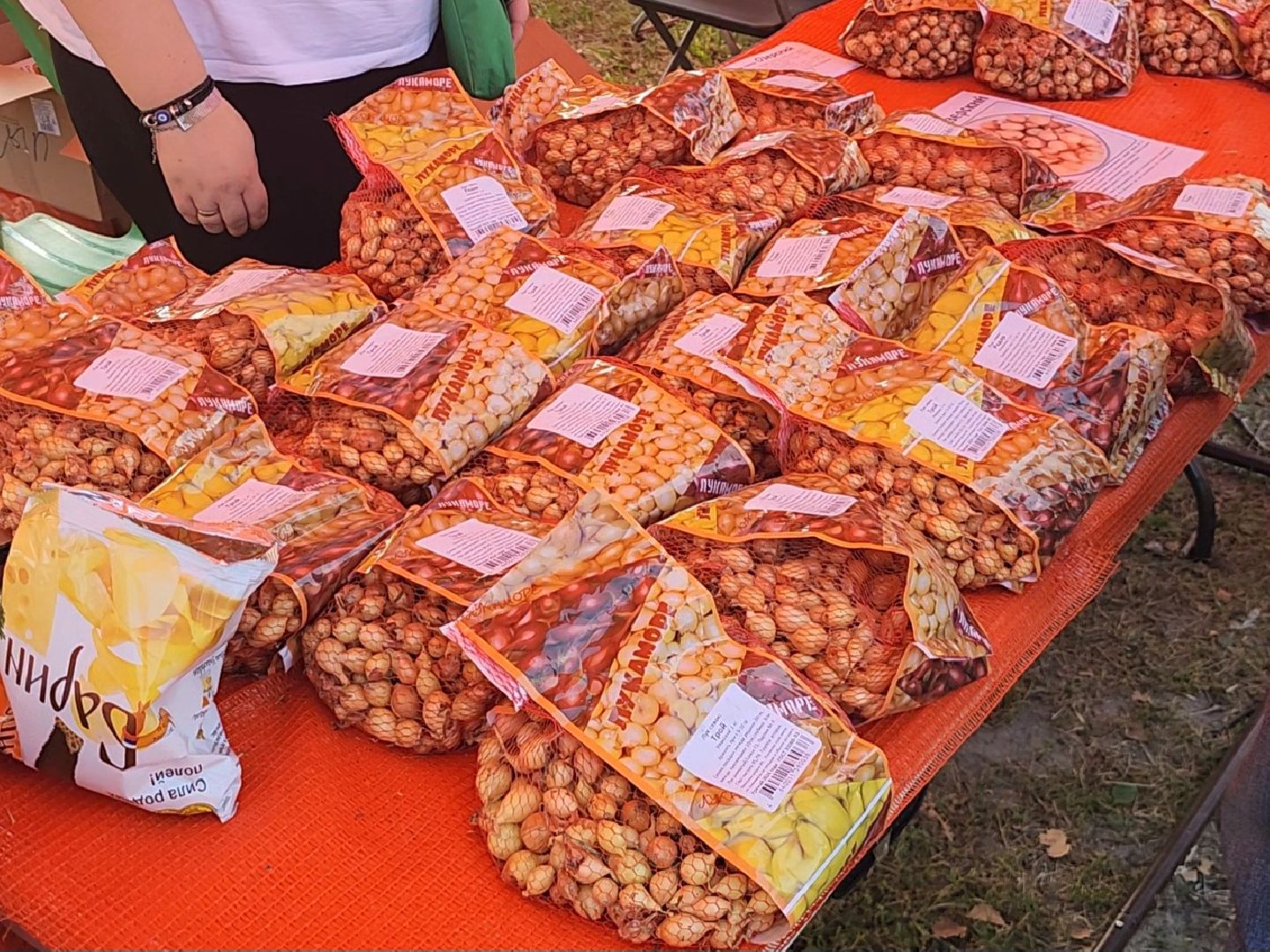 Коломна, аграрный фестиваль, мячковский лук, праздник урожая,