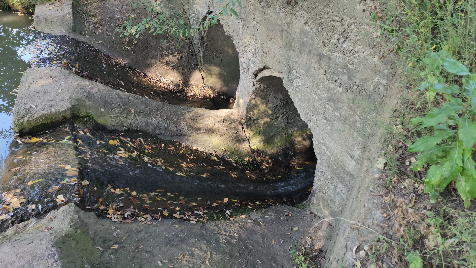 одинцово, баковка, жкх, экология, пруд,