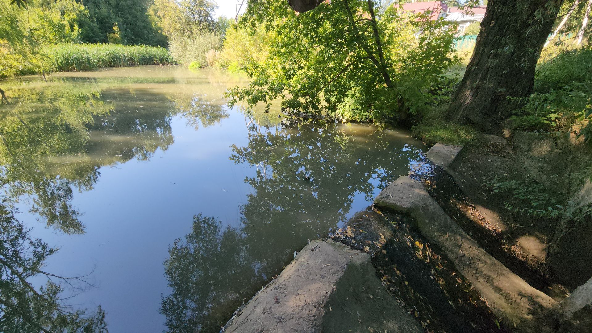 одинцово, баковка, жкх, экология, пруд,