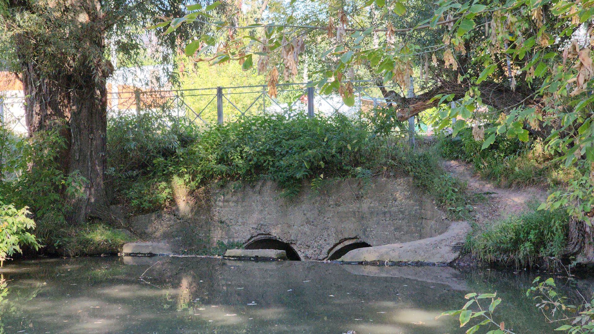 одинцово, баковка, жкх, экология, пруд,