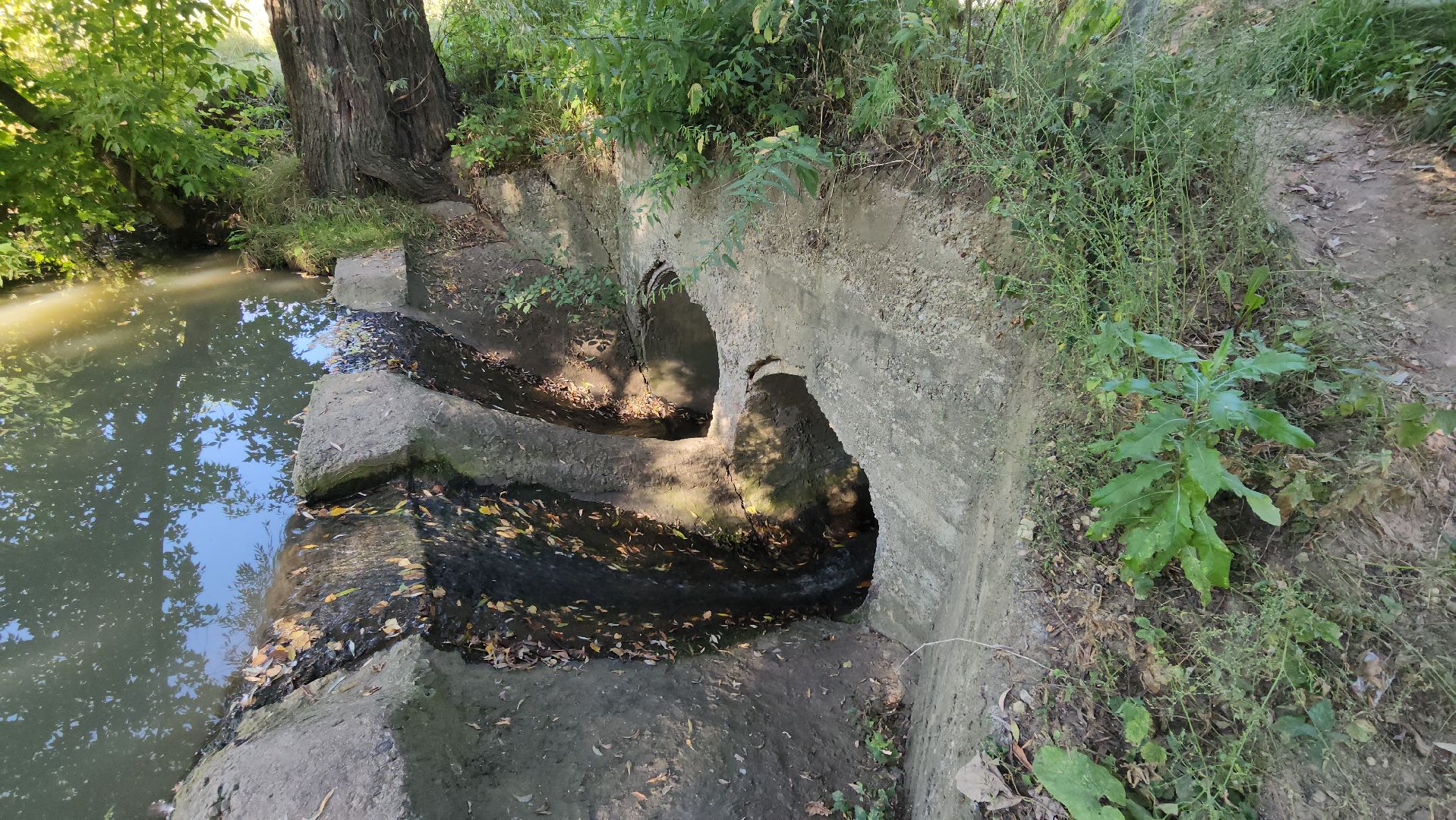 одинцово, баковка, жкх, экология, пруд,