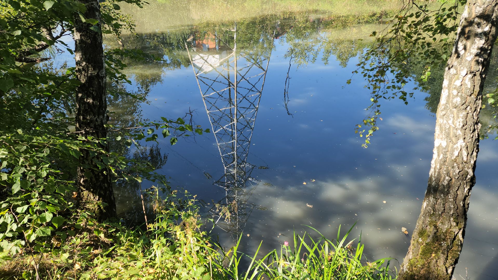 одинцово, баковка, жкх, экология, пруд,