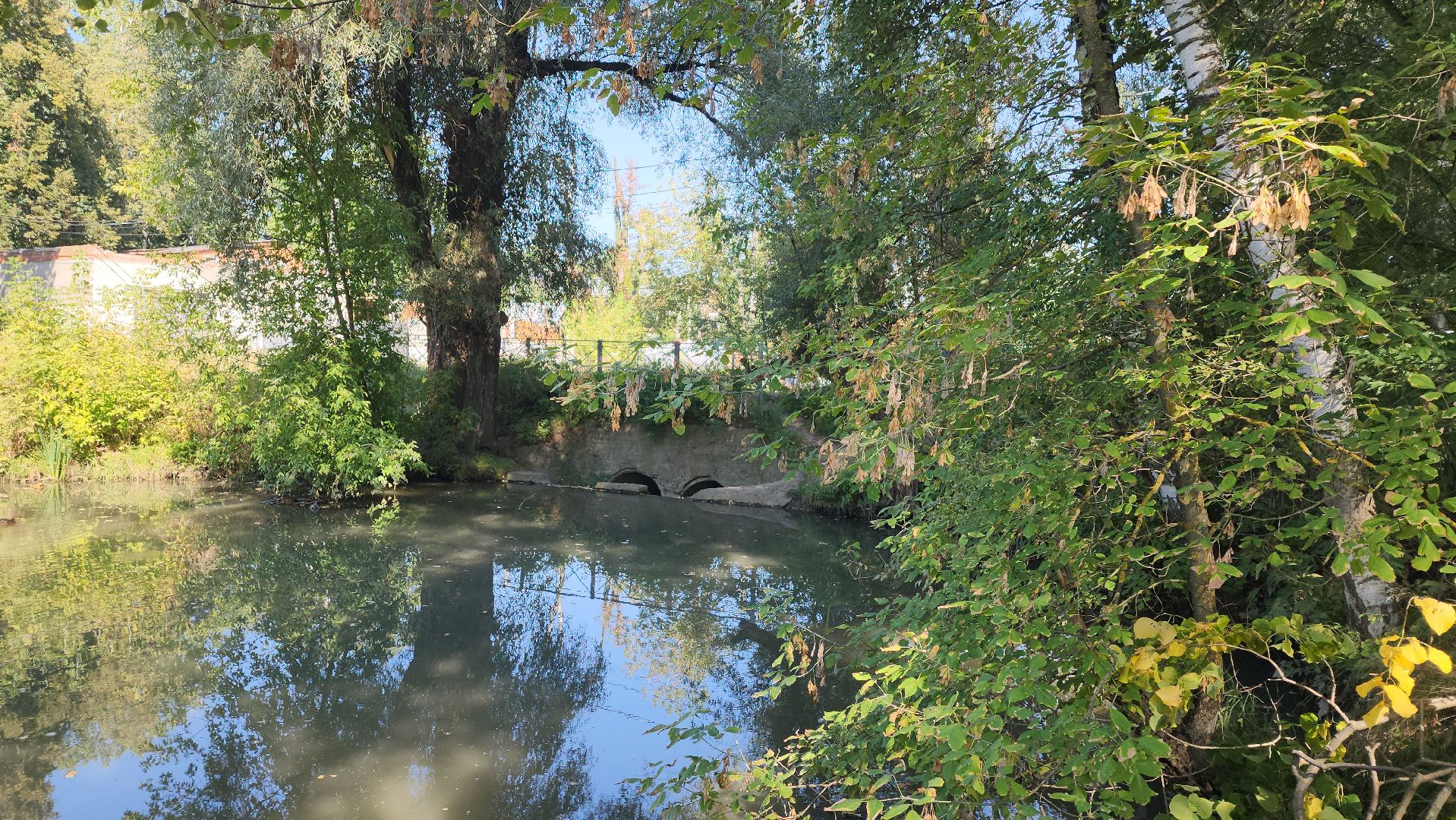 одинцово, баковка, жкх, экология, пруд,