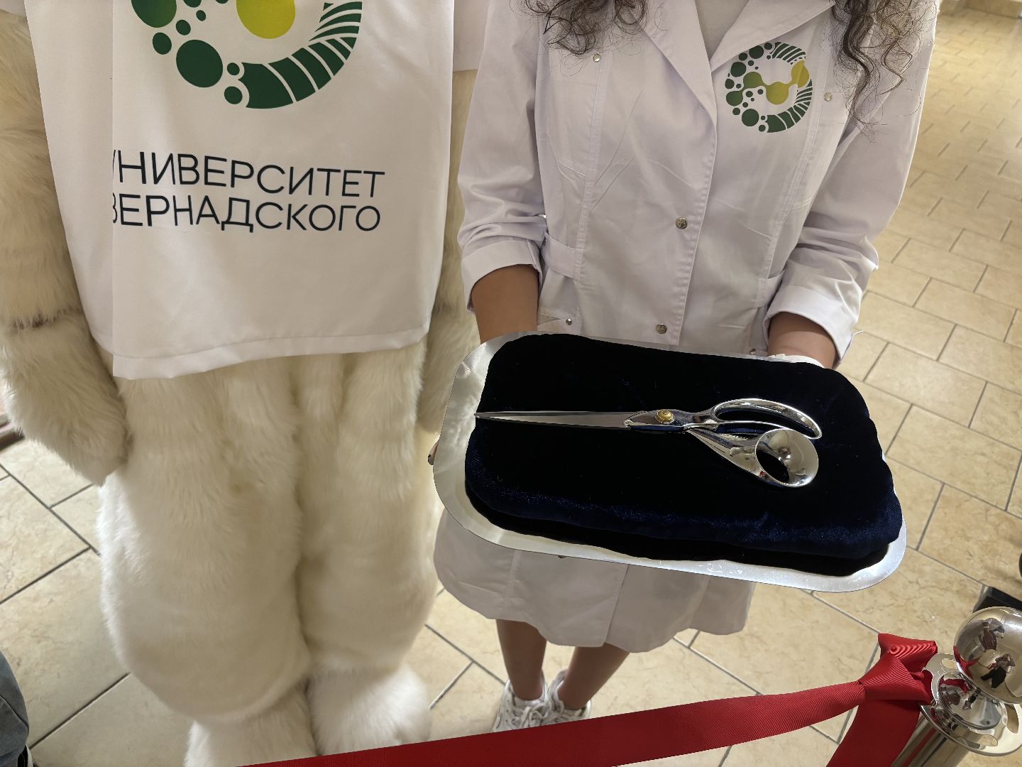 сестринское дело, колледж, здравоохранение,