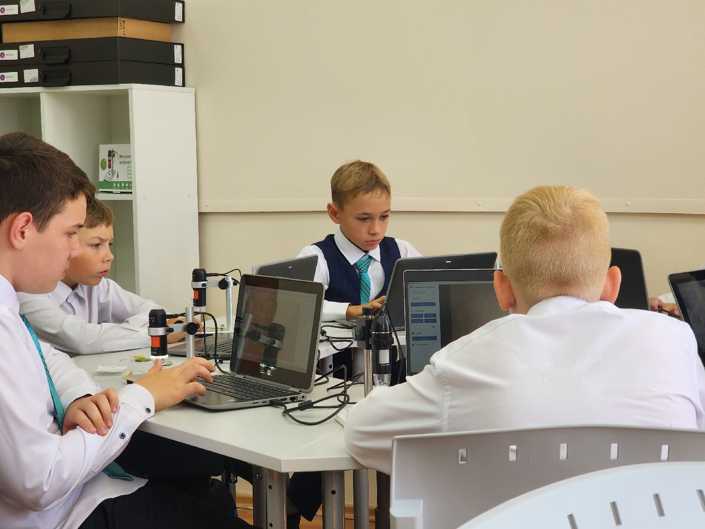 Зарайск, образование, точка роста,