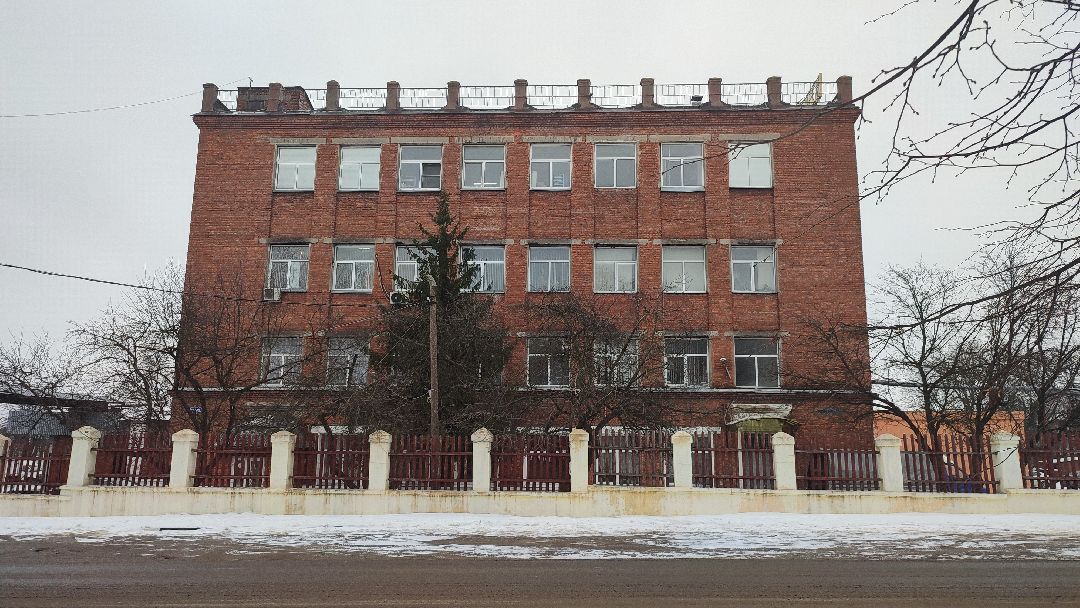 Кашира, общество