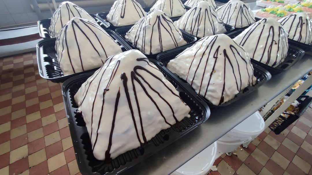 Кашира, общество