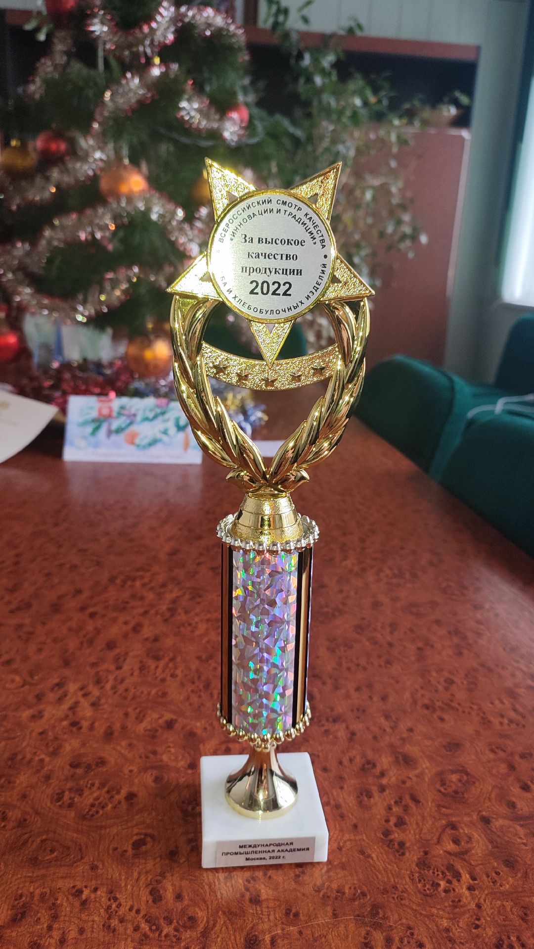 Кашира, общество