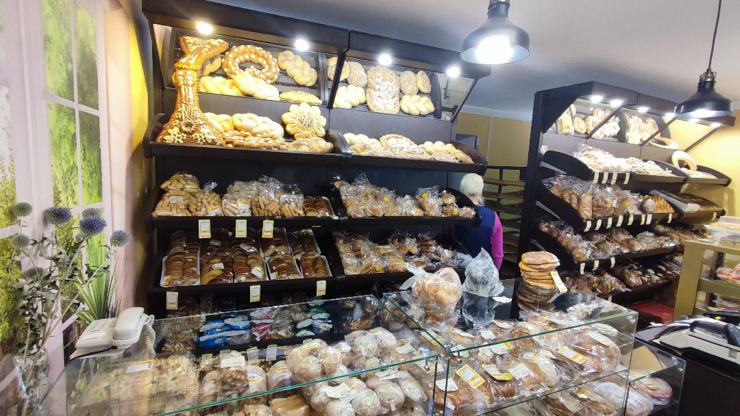 Кашира, общество