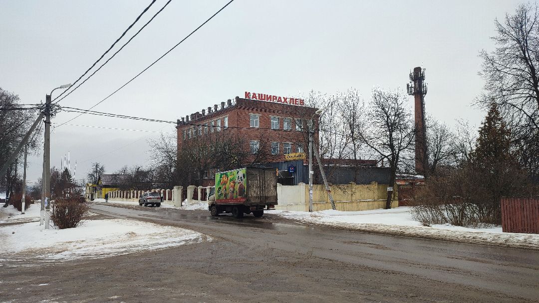 Кашира, общество