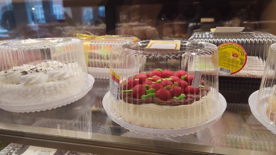 Кашира, общество