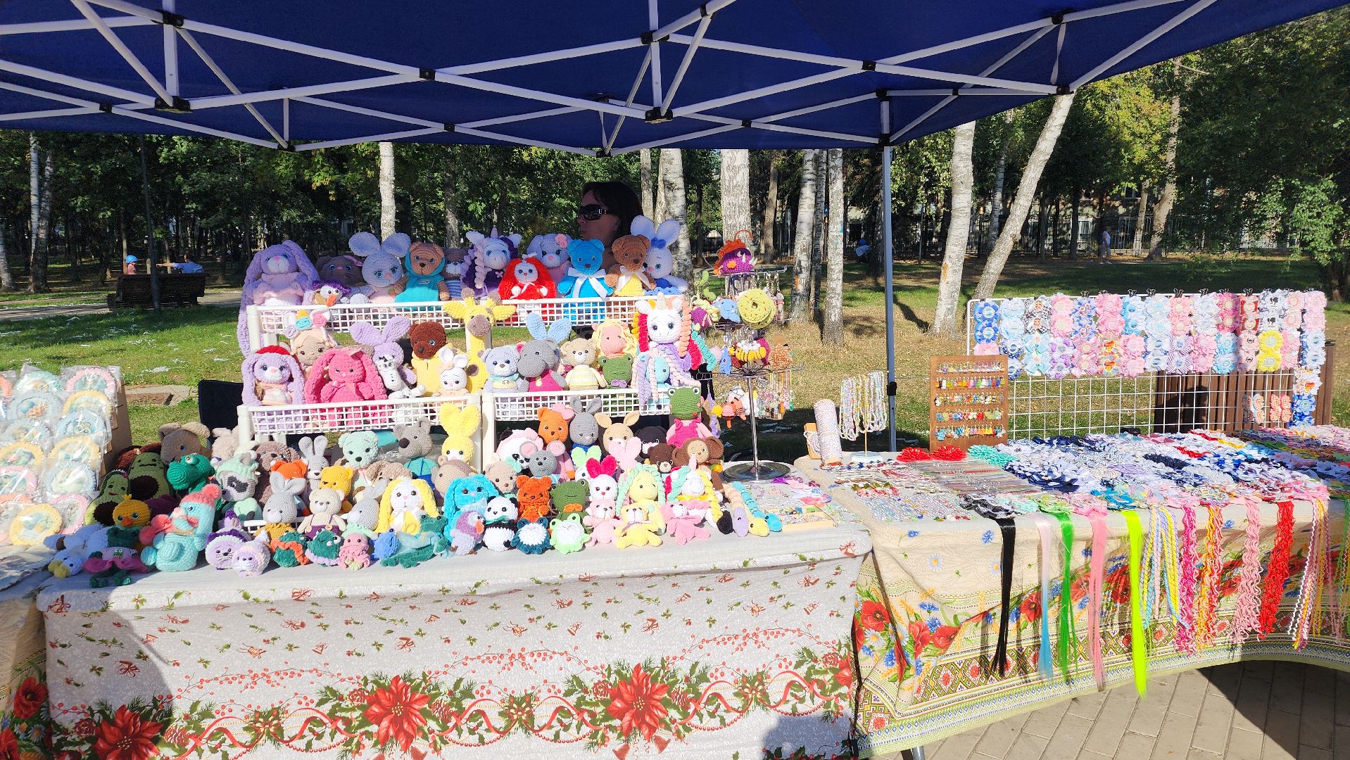 пушкино, многодетные, день знаний, мастер класс, центральный парк,