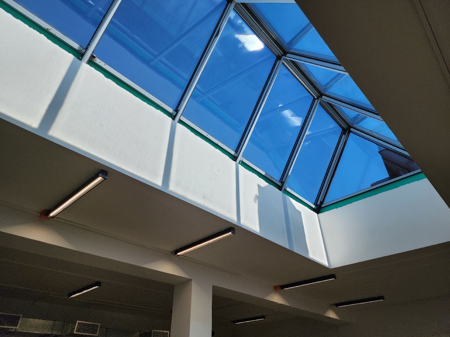 новая школа, первый звонок,