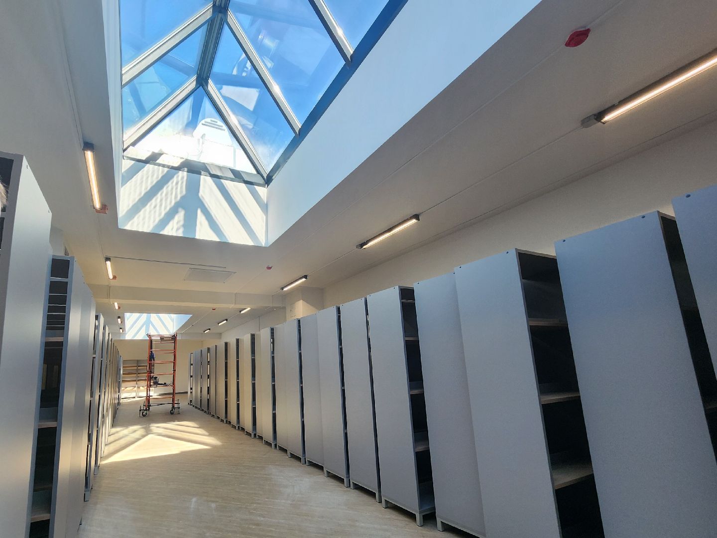 новая школа, первый звонок,