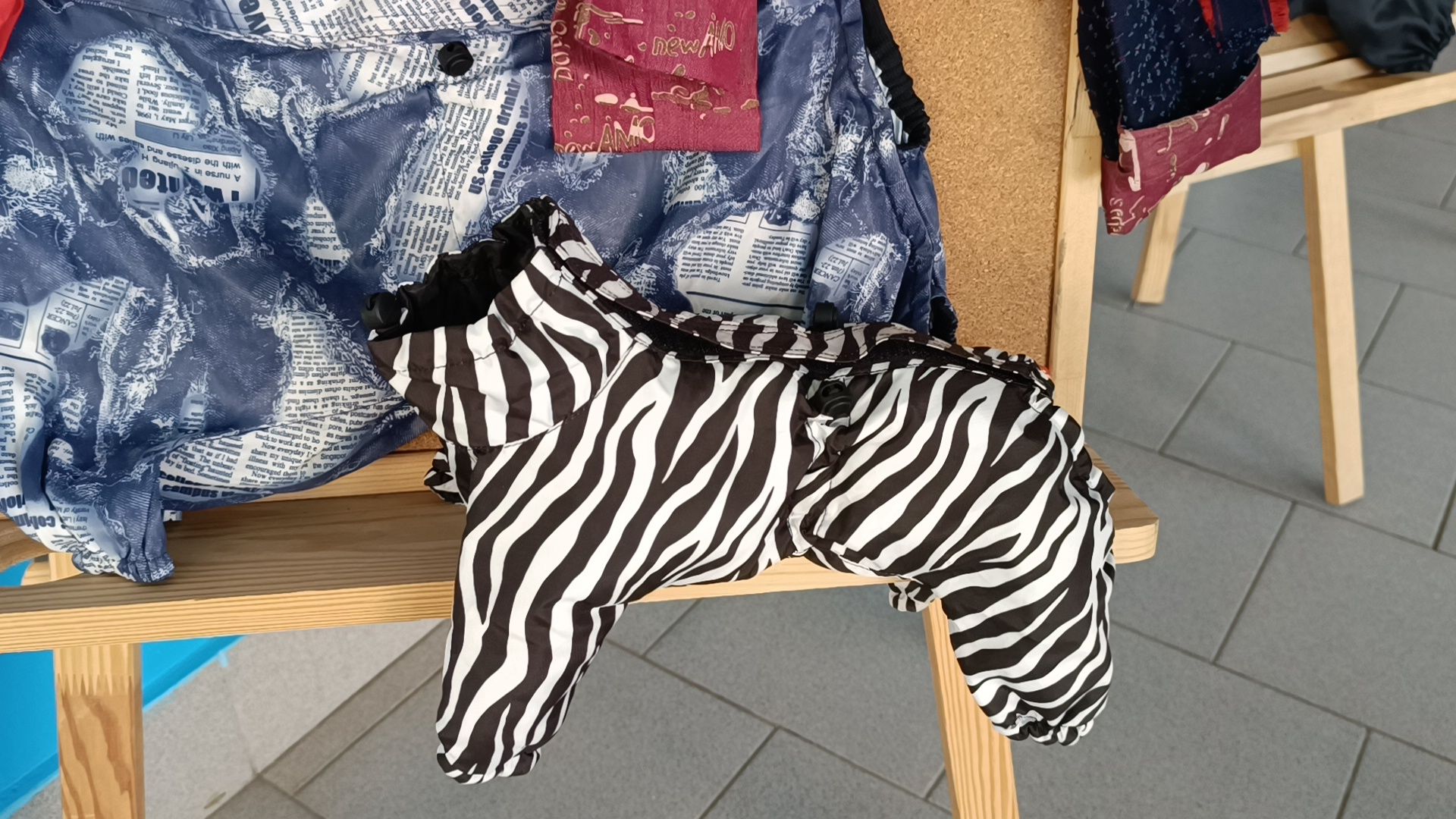 песочная живопись, собака, лобня,