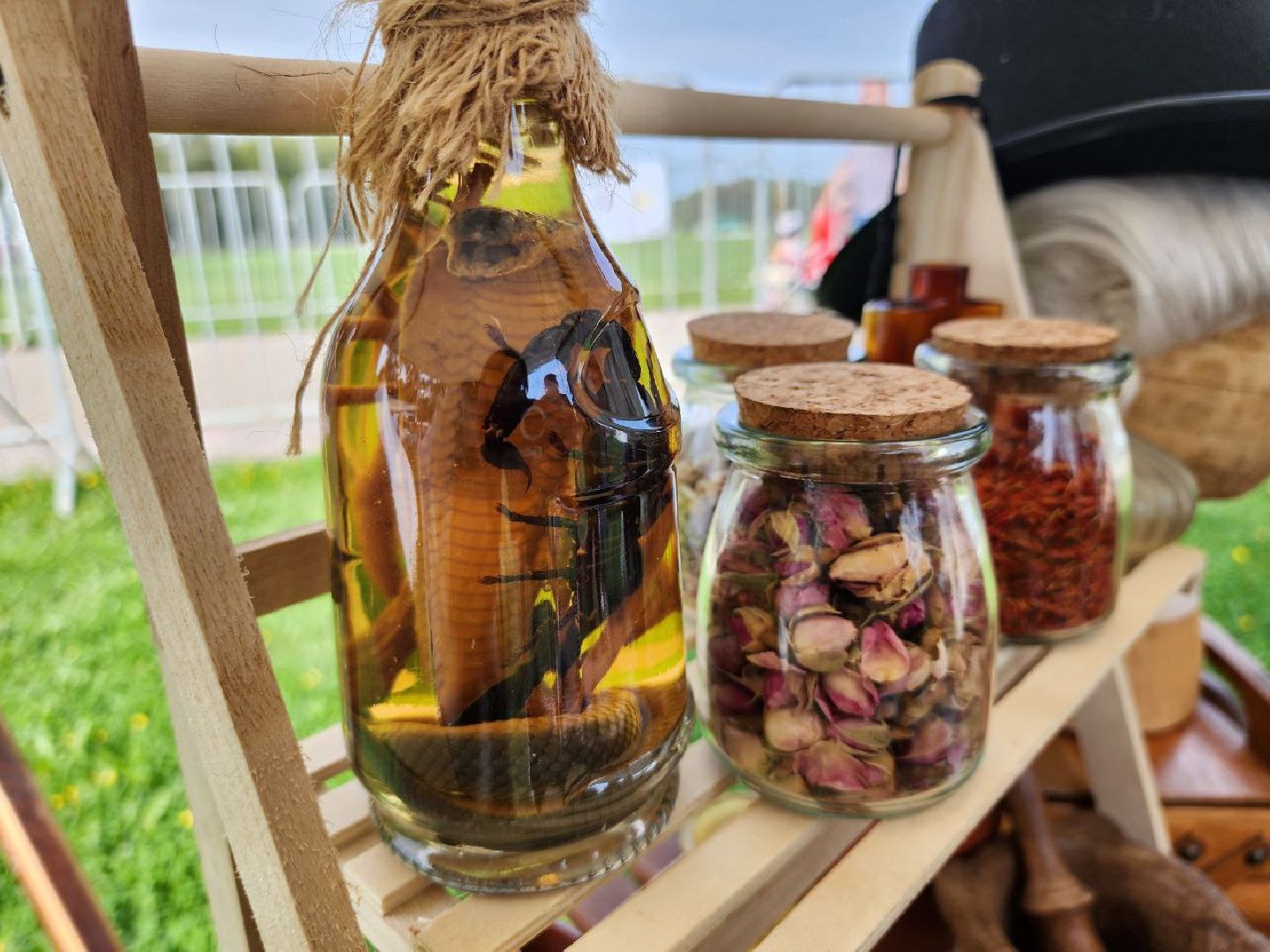 можайск, можайский городской округ, подмосковье, день бородина, бородино, военно-исторический фестиваль, бородинское поле,