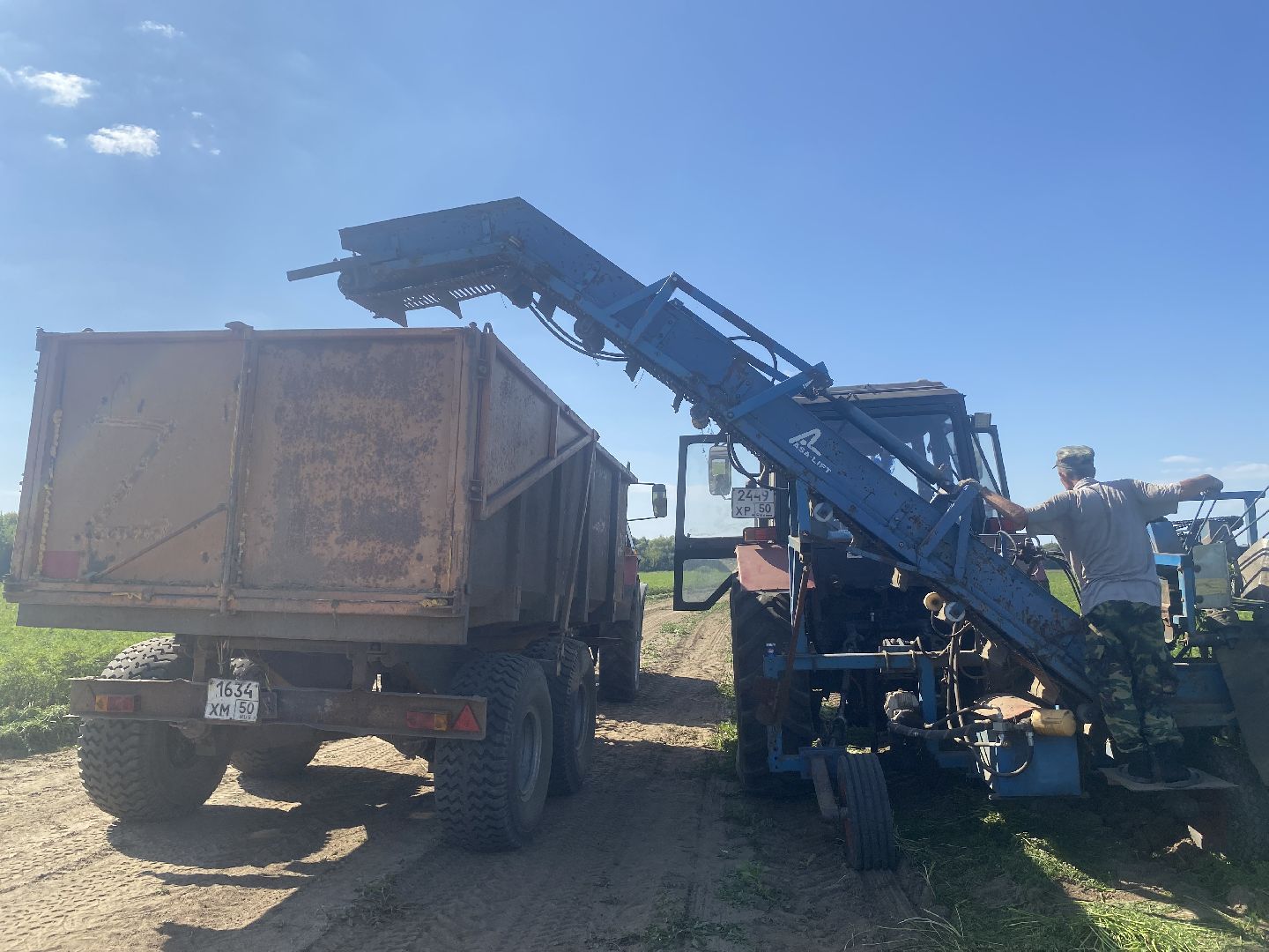 Коломна, сельское хозяйство, уборочная кампания, морковь,