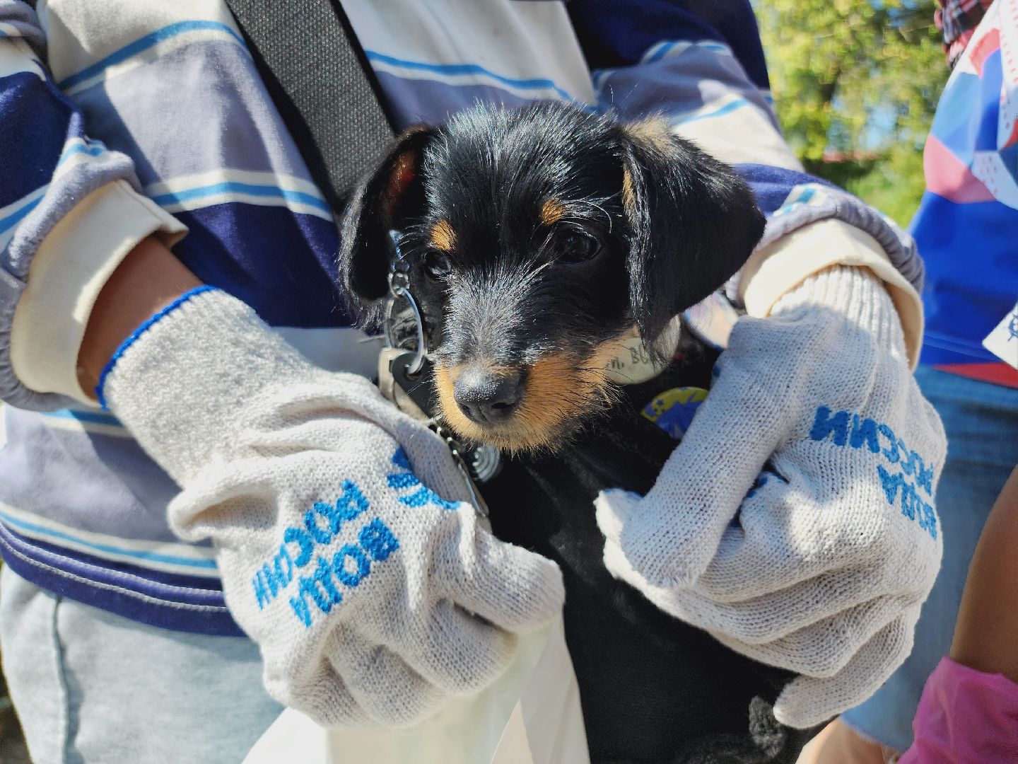 Егорьевск, Подмосковье, Московская область, вода россии, экология, благоустройство,