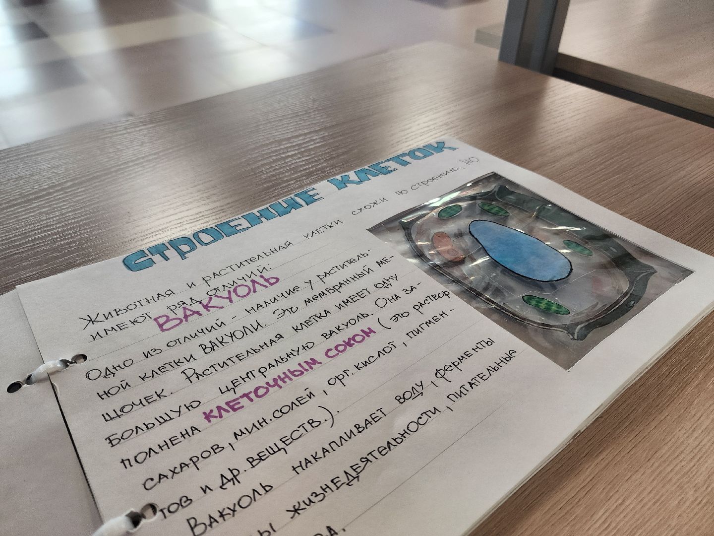 Подольск, Музей, Наука, Образование, Школа,