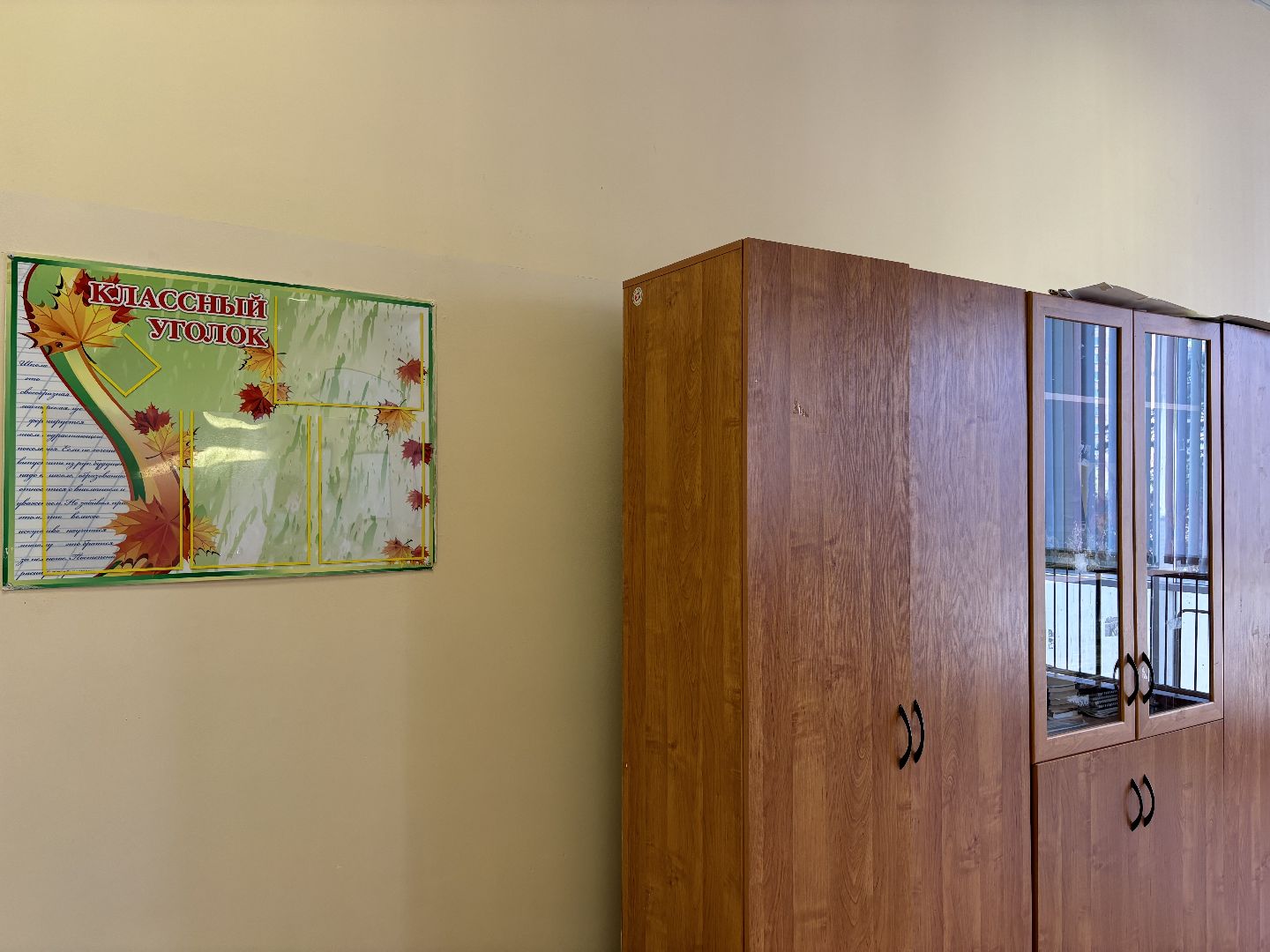 молодой педагог, литература, русский язык и литература, школа 8,