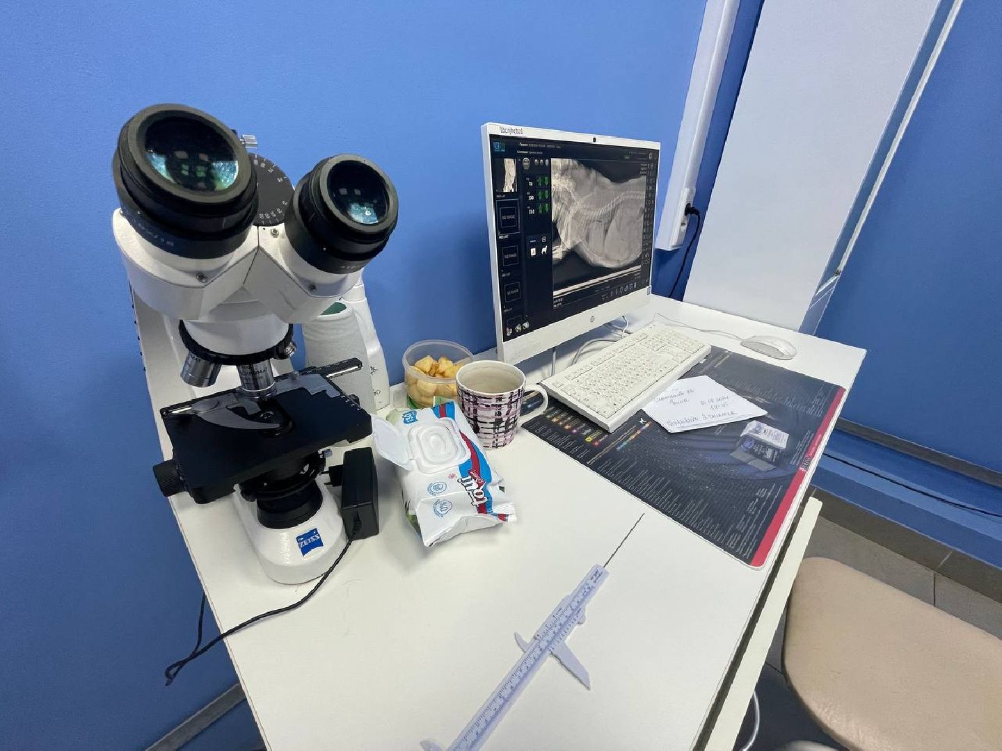 Дмитров, Госветстанция, Минсельхоз,