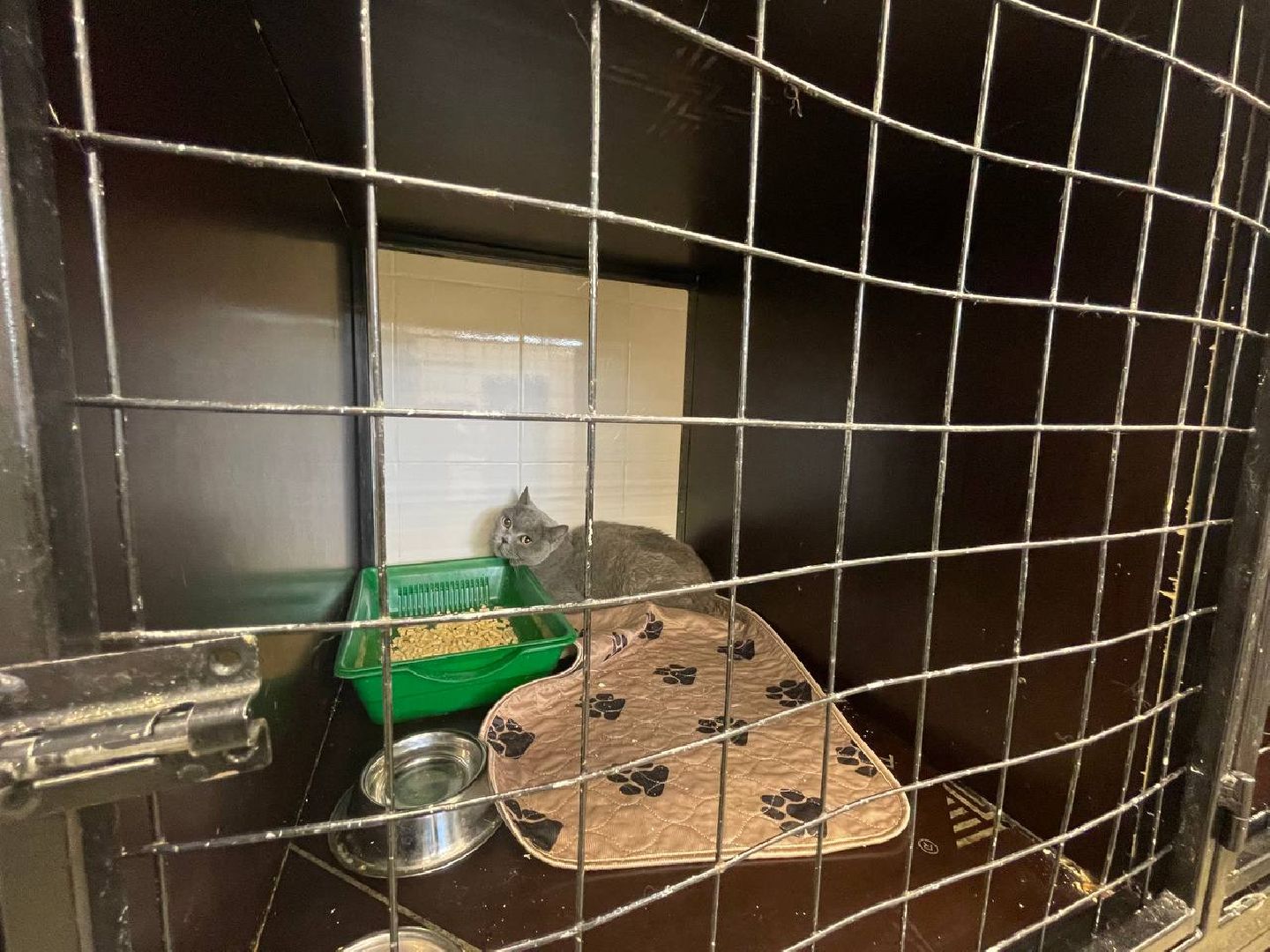 Дмитров, Госветстанция, Минсельхоз,