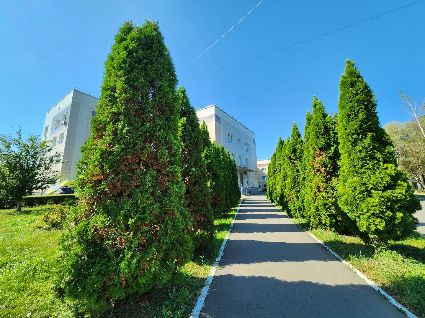 роддом, видновский перинатальный центр, впц видное, родильный дом, новорожденные дети,ленинский округ,