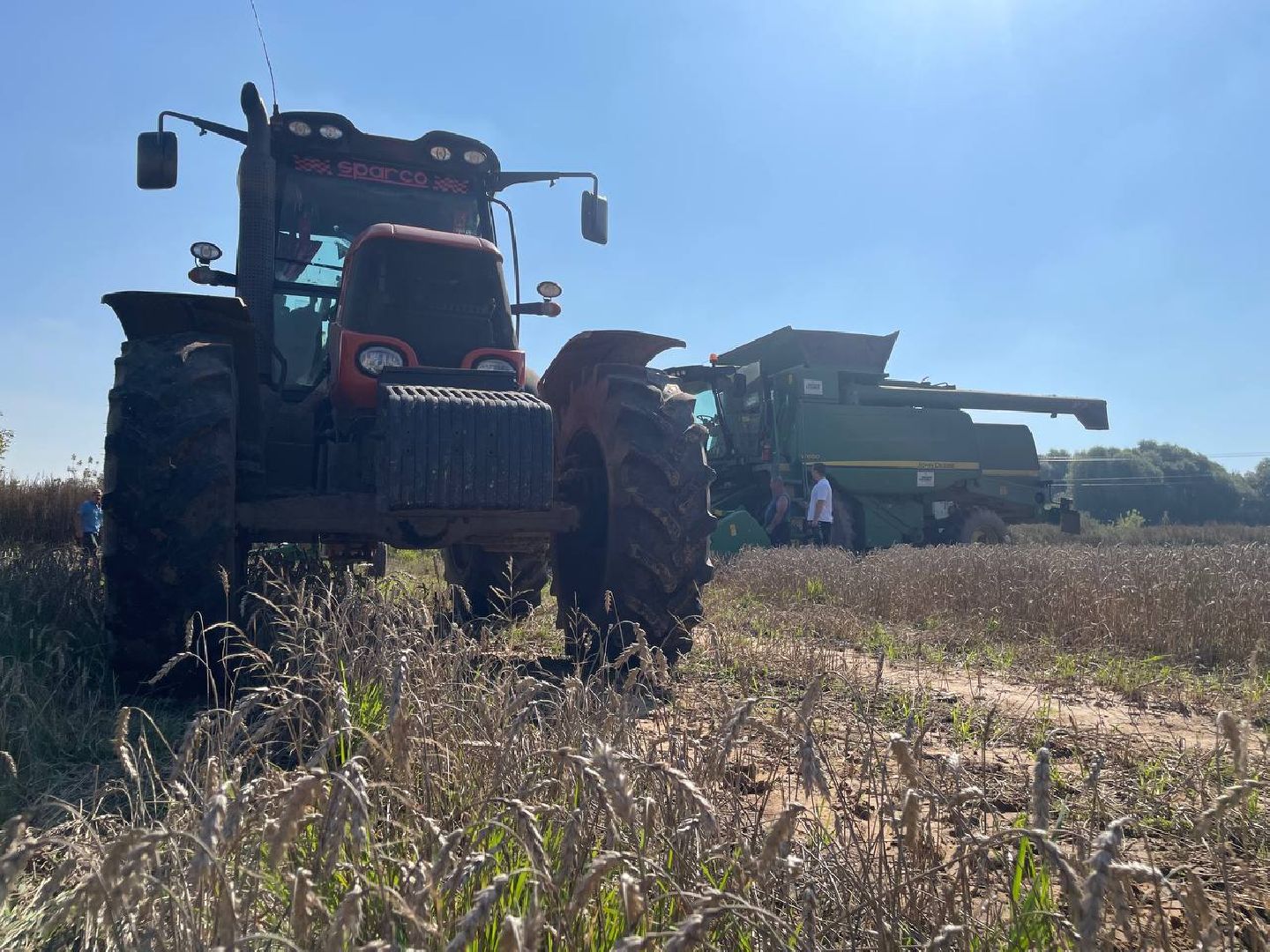 Дмитров, Мосагрофуд, Минсельхоз,