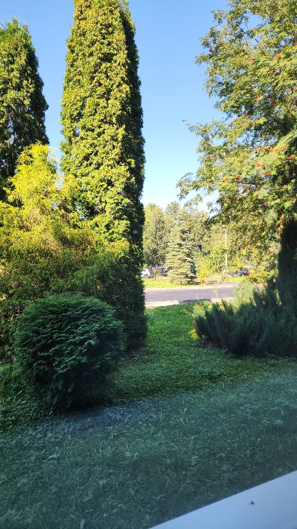 электросталь, дополнительное образование, дети, образование в подмосковье, бпла, беспилотник, беспилотники, дроны, гимназия 9, ггту,