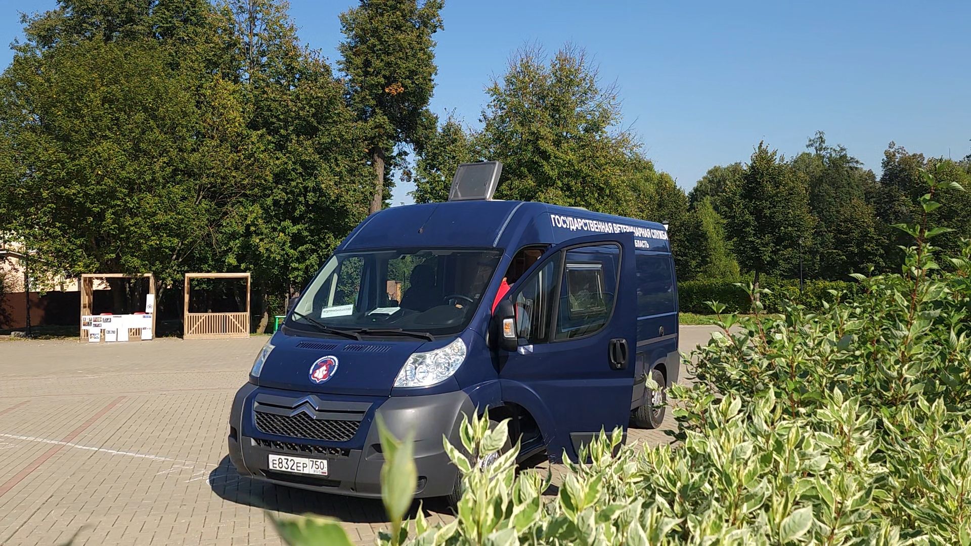 одинцово, голицыно, ветеринарная служба, прививка, бешенство, чипирование домашних животных,