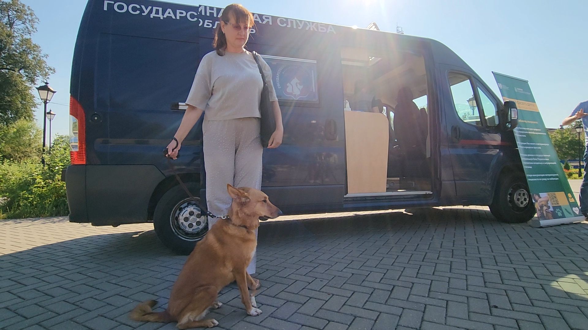 одинцово, голицыно, ветеринарная служба, прививка, бешенство, чипирование домашних животных,