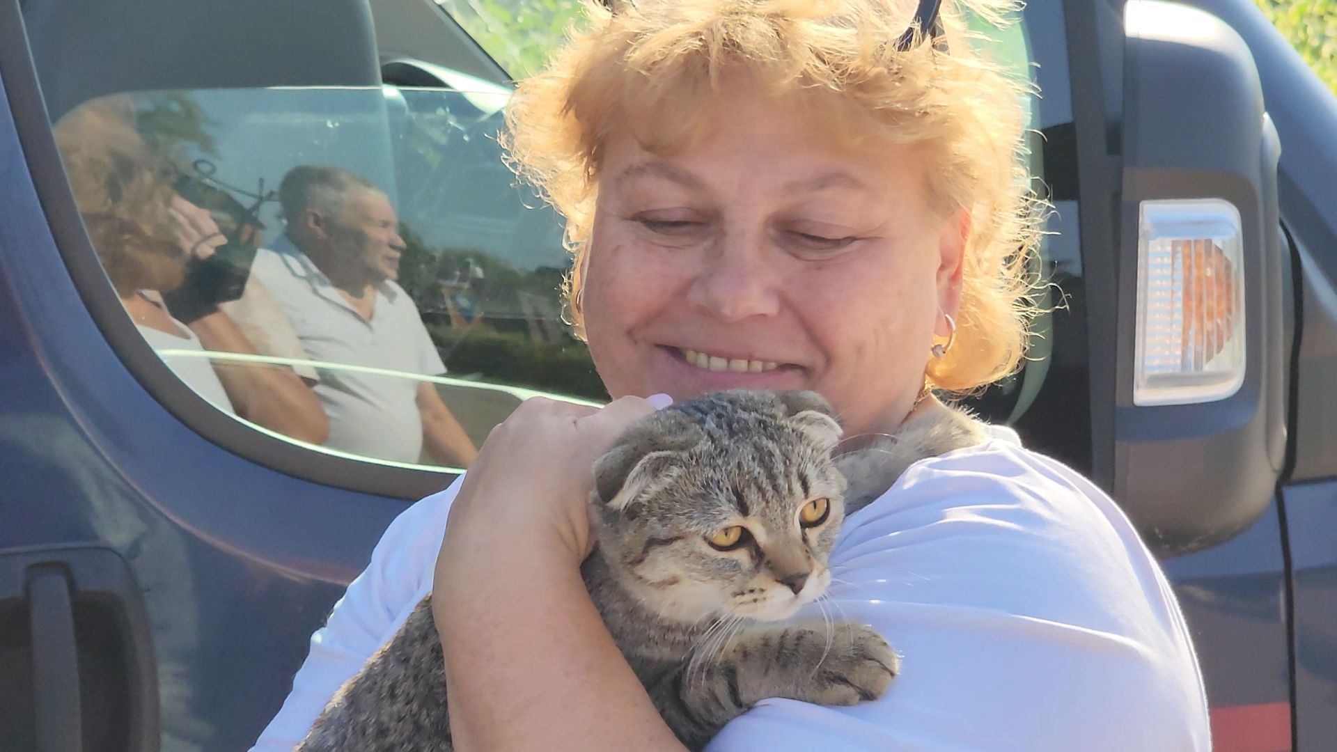 одинцово, голицыно, ветеринарная служба, прививка, бешенство, чипирование домашних животных,