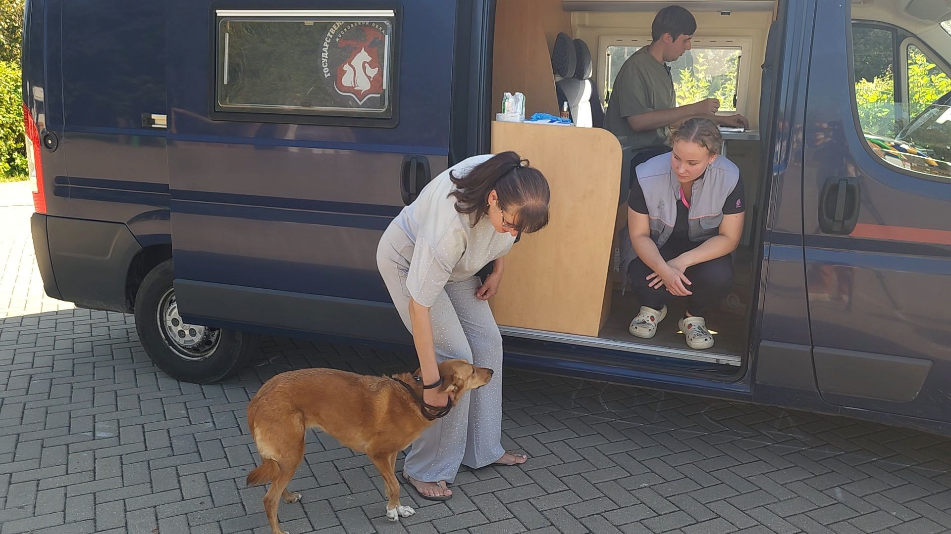 одинцово, голицыно, ветеринарная служба, прививка, бешенство, чипирование домашних животных,