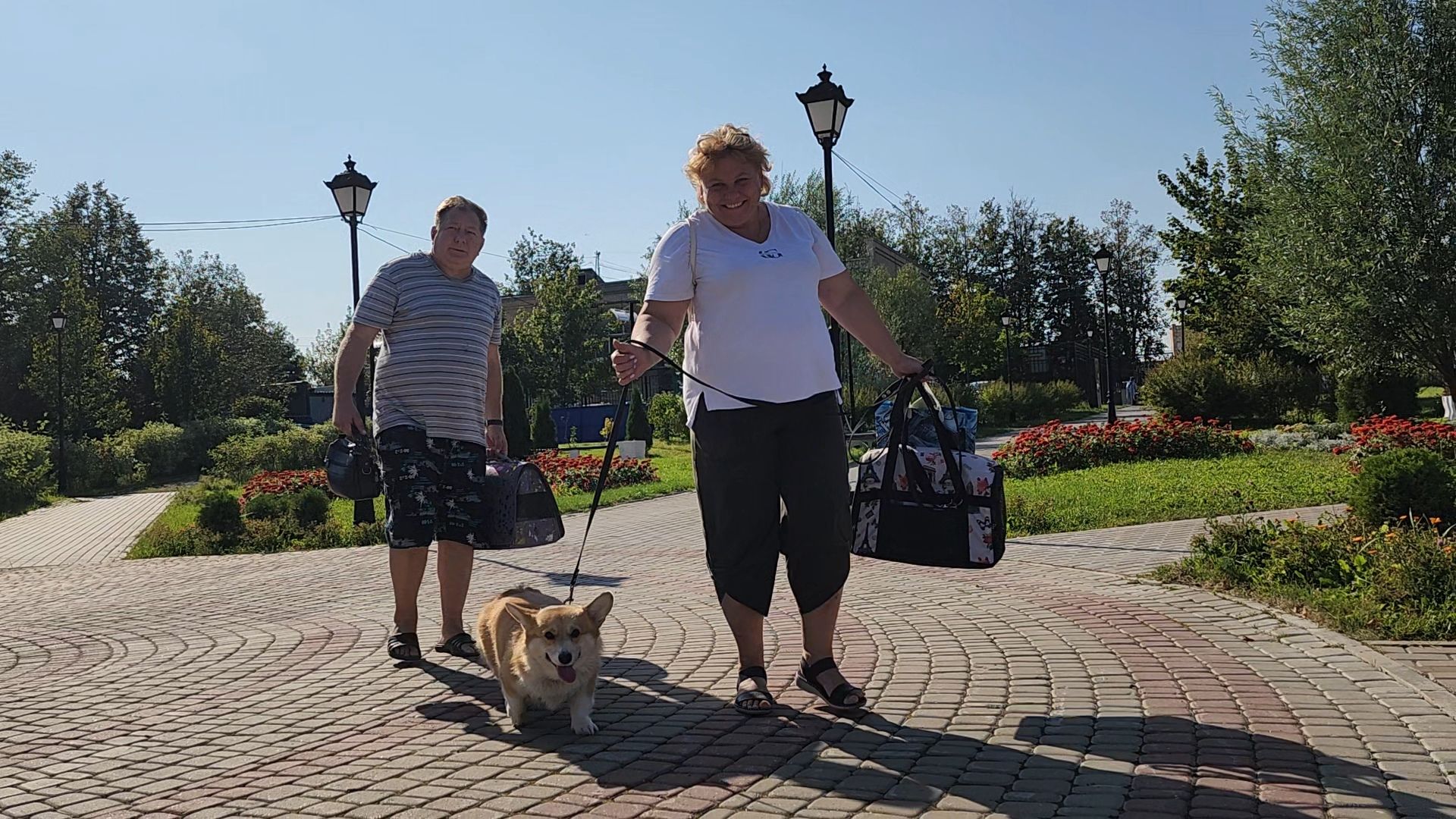 одинцово, голицыно, ветеринарная служба, прививка, бешенство, чипирование домашних животных,