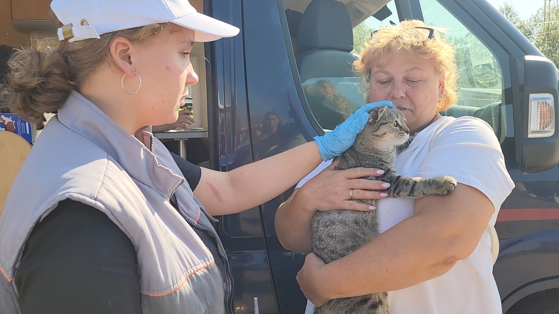 одинцово, голицыно, ветеринарная служба, прививка, бешенство, чипирование домашних животных,