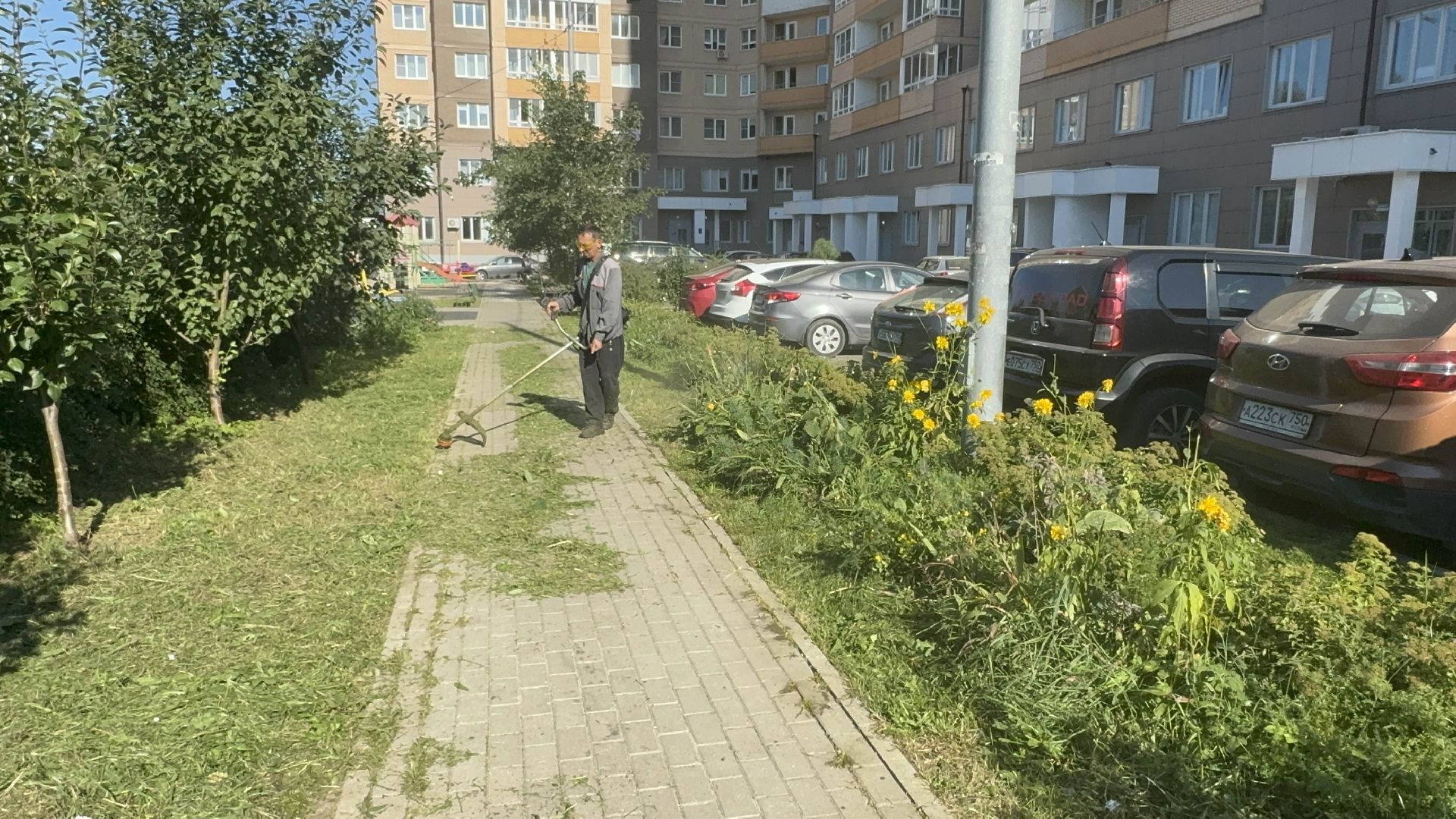 Солнечногорск, Уборка территории, Жители, покос травы, детская площадка,