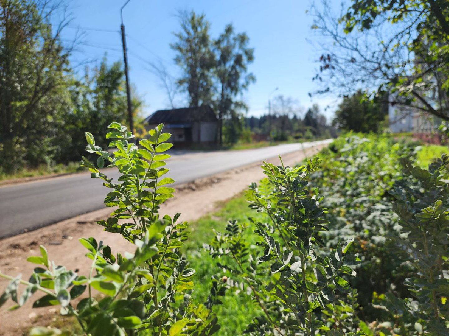можайск, можайский городской округ, подмосковье, дороги, ремонт региональных дорог, ремонт дорог, нацпроект, безопасные качественные дороги,