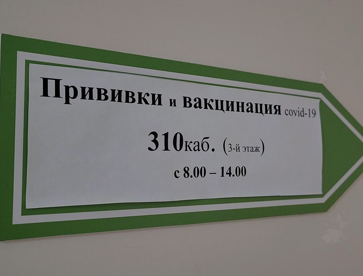 Дубна, Дубненская больница, Поликлиника, вакцинация от гриппа, Вакцина,