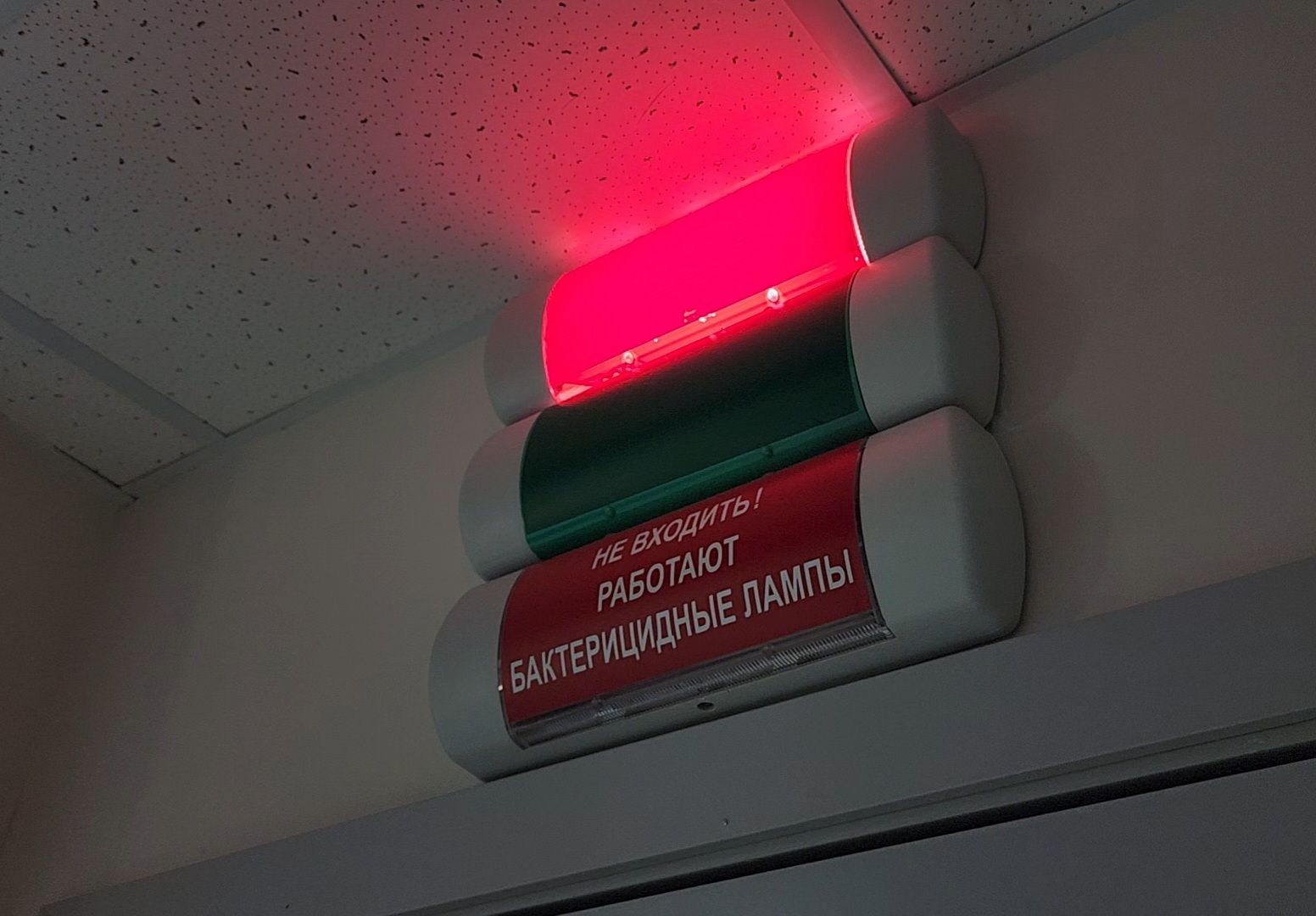 Дубна, Дубненская больница, Поликлиника, вакцинация от гриппа, Вакцина,