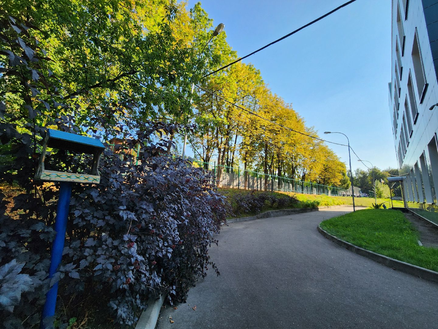 топ 500 школ подмосковья, лучшие школы московской области, вхтл, ленинский округ, школа зеленой зоны, рейтинг лучших школ,