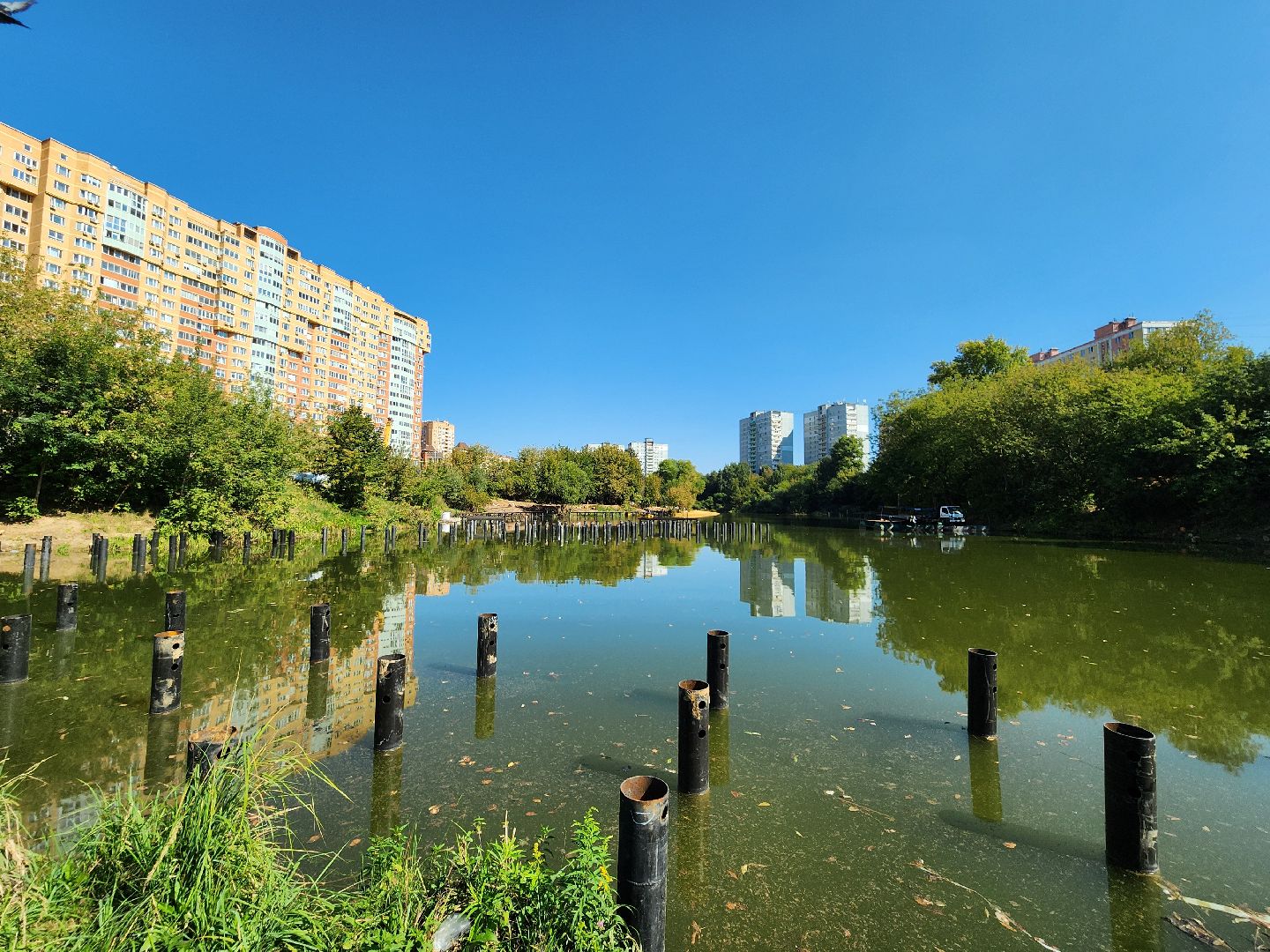 благоустройство, малый тарычевский пруд, набережная тарычевского пруда, видное, ленинский округ,благоустройство набережной, брусника, зеленые аллеи,