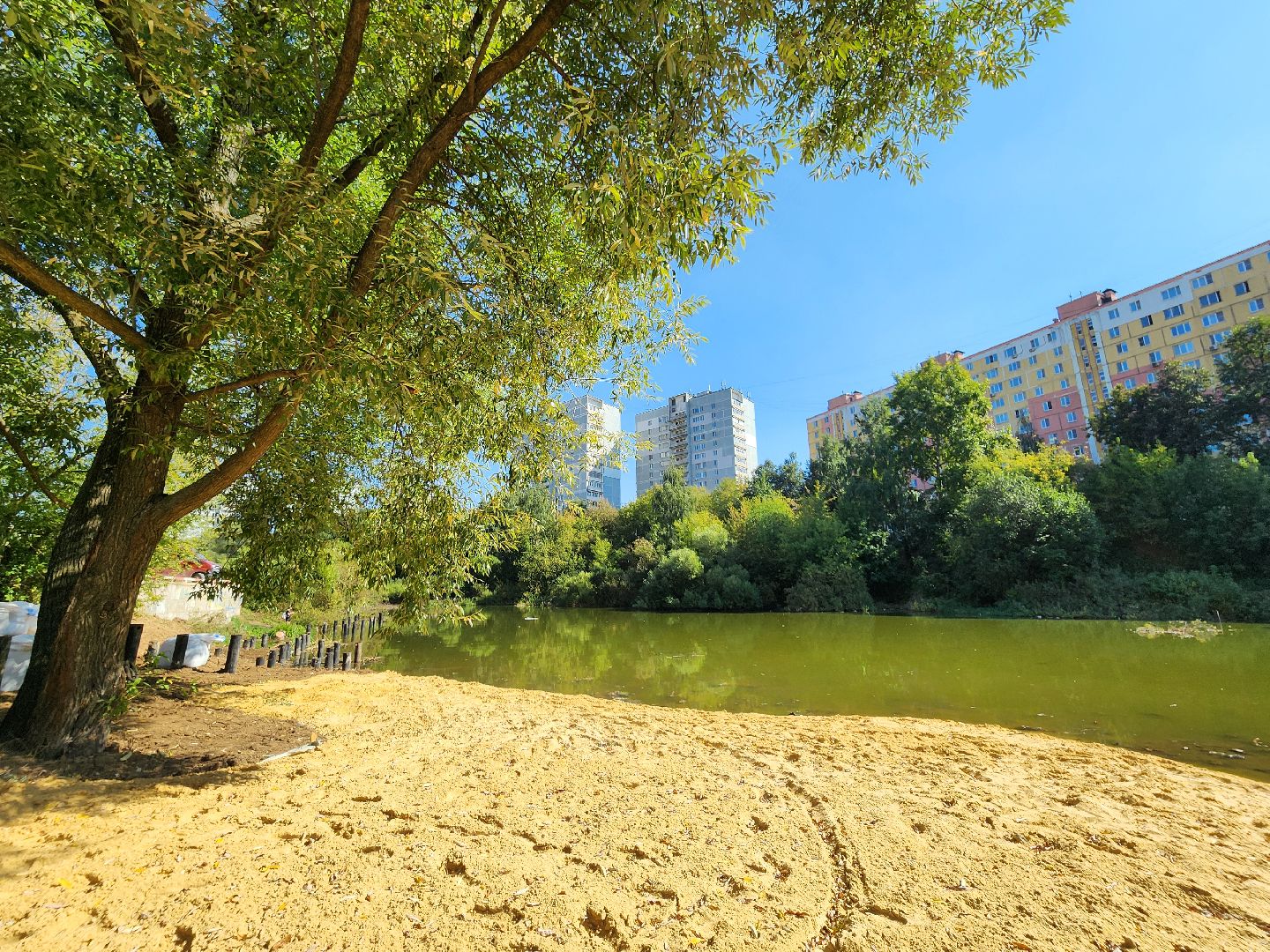 благоустройство, малый тарычевский пруд, набережная тарычевского пруда, видное, ленинский округ,благоустройство набережной, брусника, зеленые аллеи,