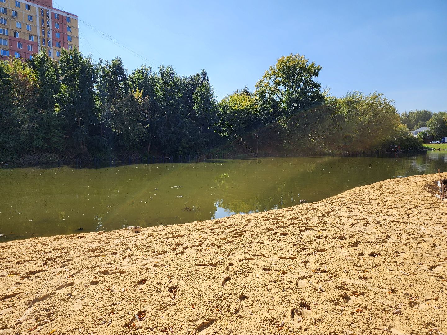 благоустройство, малый тарычевский пруд, набережная тарычевского пруда, видное, ленинский округ,благоустройство набережной, брусника, зеленые аллеи,